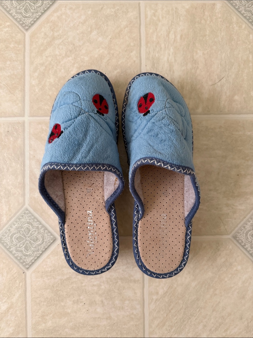 Valentina Ladybug Slip Ons